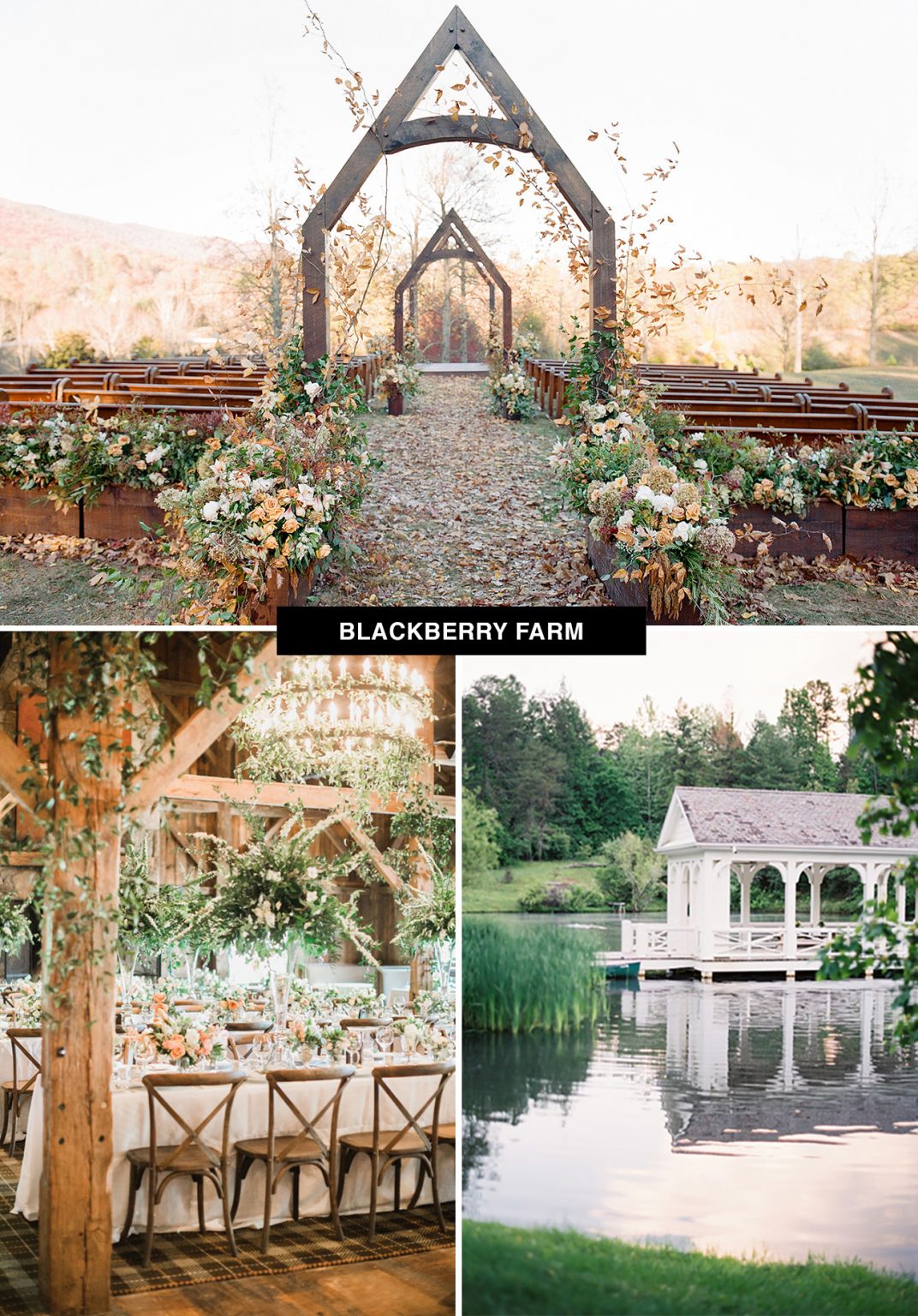 blackberry-farm