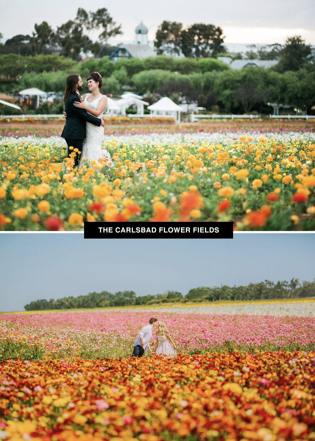 flower_field_wedding_venue