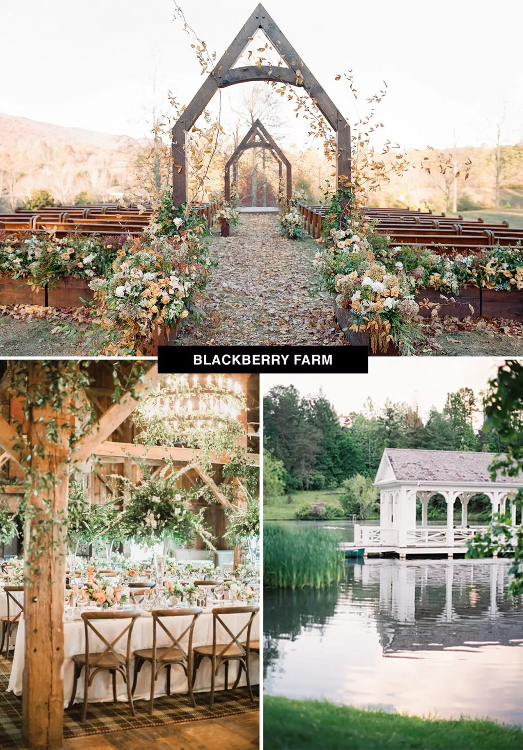 blackberry-farm